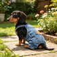Conjunto de Pantalones de Mezclilla para Cachorro