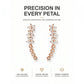 Aretes Trepadores Flor Estelar con Circonias Brillantes