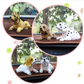 🎉 ¡Rebajas 2026 — Más de 12.000 vendidas! 🐶 Bonito perro Bobblehead – asiente en cada curva – 10 razas, peluche suave, cadena dorada – saca sonrisas a cada trayectoria 🚗