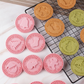Juego de moldes para galletas navideñas festivas
