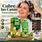 💇‍♀️ Tinte en espuma de origen vegetal de larga duración｜Color de pelo en espuma fácil de aplicar en casa sin amoníaco