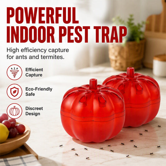 🎃 Trampa para plagas de calabaza: control discreto de hormigas y moscas en interiores.